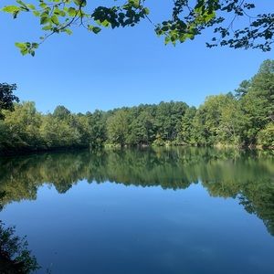 Meet your Posher, Ellie